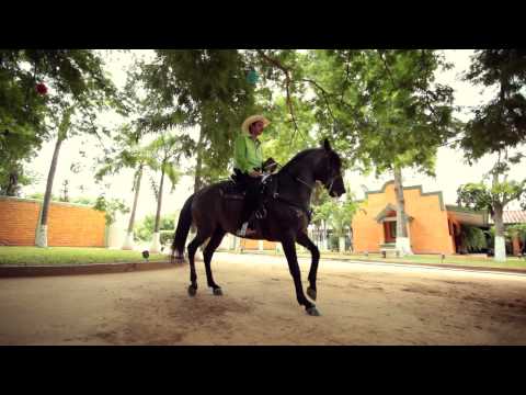 Los Mayitos De Sinaloa - Somos De A Caballo [Official Video] (2015) - EXCLUSIVO