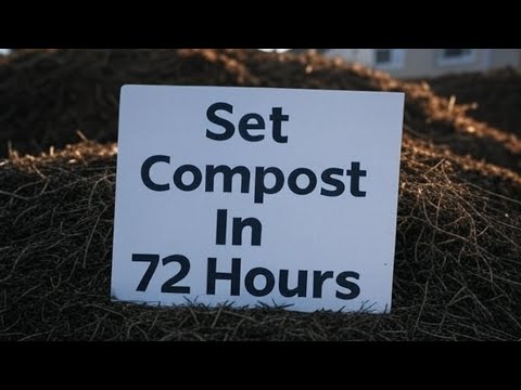 I Tried the Viral 72 Hour Compost Hack—Here’s What Actually Happened!