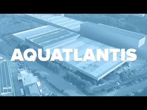 Watch Video on YouTube