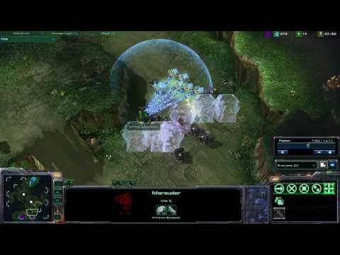 StarCraft 2 -012 Game 1 DeMuslim vs TheLittleOne TvP on Lost Temple
