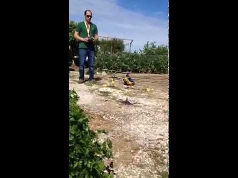 Align T-rex 450 Beginner