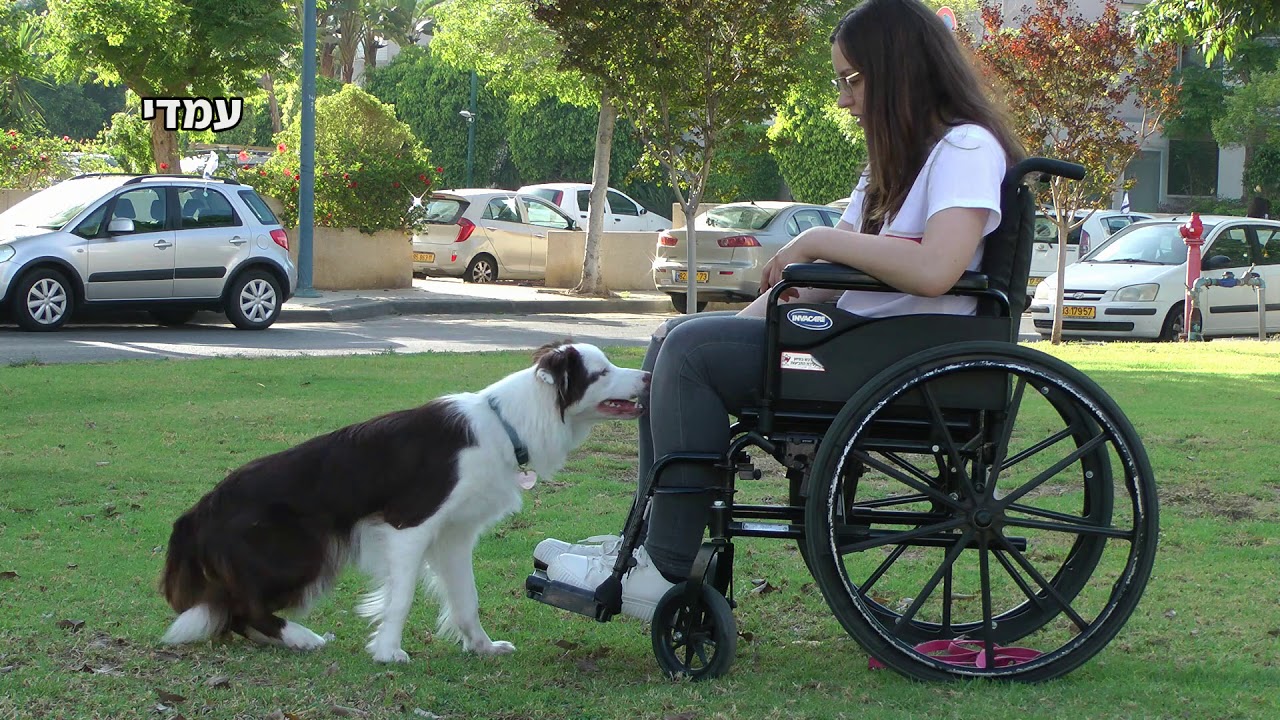 יום בחיי מלודי ככלבת שירות thumbnail