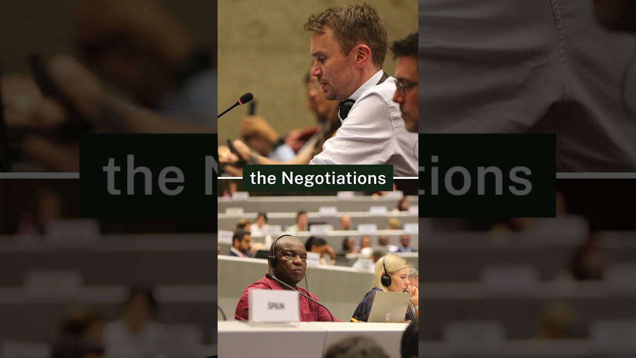 OEWG-15 (Day 4)