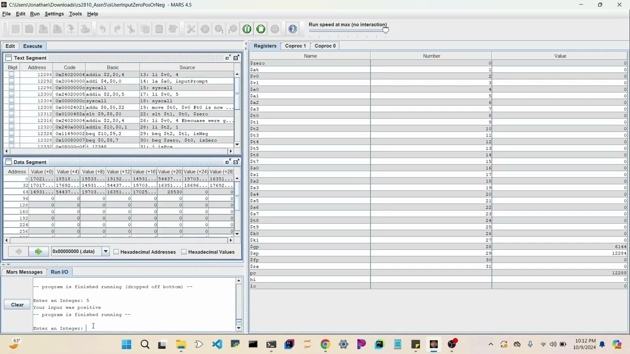 MIPS User Input Check Demo