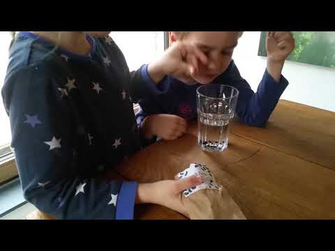 Bohnen in Wasser einlegen