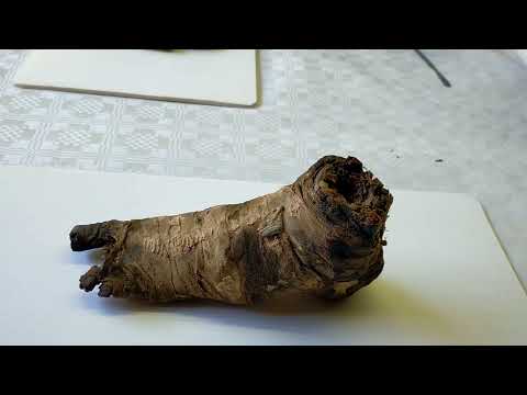 Generico luglio 2022