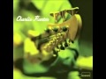 Charlie Hunter - Dersu (A Slight Return)