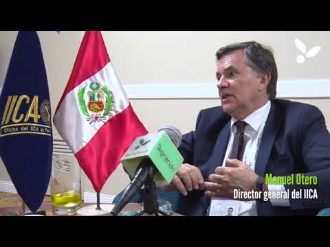 Principales programas de IICA en el Perú