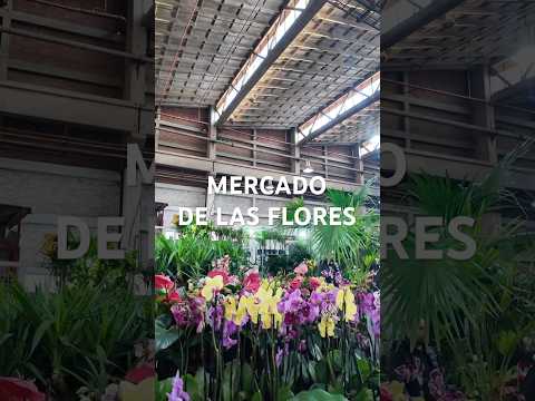 Día 2 armando todo para mi cumple. Nos fuimos al mercado de las flores 🫶