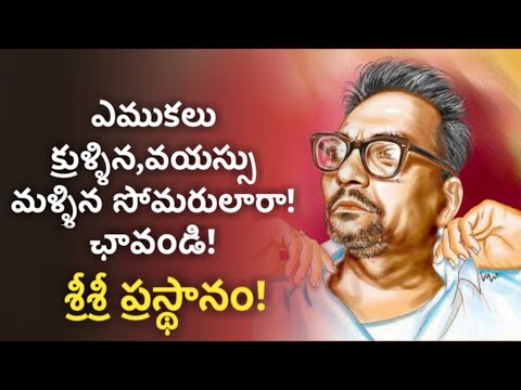 Sri Sri Life History in Telugu | Srirangam Srinivasa Rao | మహాప్రస్థానం | News6G
