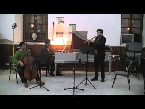 Telemann: Trio Sonata nº8 in B flat M for recorder, harpsichord & b.c. — Gonzalo Llao, recorder