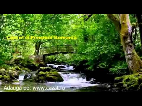 Cazare Gorgan, Alba - Cazat.ro