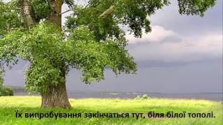 Буктрейлер на роман Н. Гуменюк "Танець білої тополі"