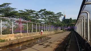 Download lagu Lagu ' Profil Pelajar Pancasila ' no copyright mp3 Download lagu Lagu ' Profil Pelajar Pancasila ' no copyright mp3