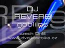 DJ REVERB  - gobliins