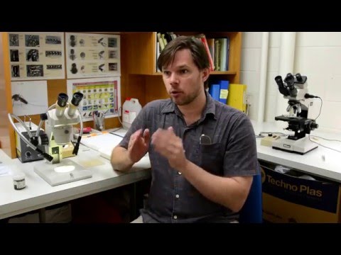 Treating biting midge in the Redlands