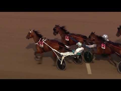 Uttagningslopp 6 Svenskt Trav Oaks 2023 - Madewithlove