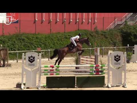 FIGHTER SEMILLY (Bisquet Balou x Le Tot de Semilly) 5ans / 5YO