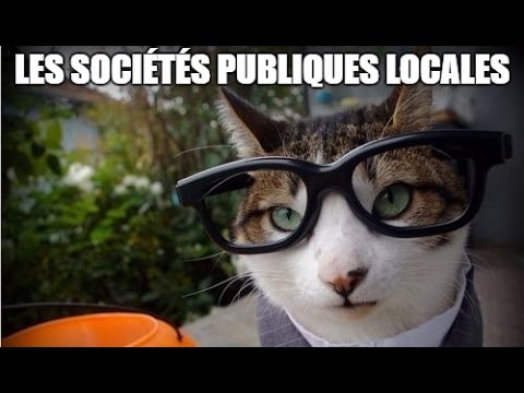 Les sociétés publiques locales