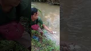 Download lagu STRAIKE IKAN NILEM DI AIR KERUH#shortsvideo mp3