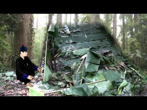 KHIAV LOS MUS THAIB TEB XYOO 1977/May/24/2020