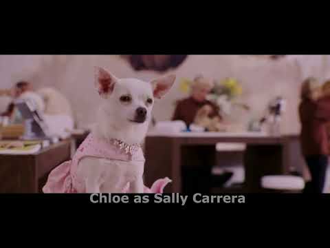 Animals 3 (Cars 3) Part 21 - Ending Credits