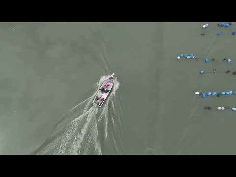 Temon and Masai, first flights in June