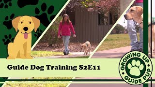 GUGP Season 2 - Week 11 - City Park