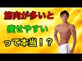 ダイエットの基礎知識②(筋肉量・有酸素運動無酸素運動)