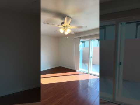 Kingman-5836 - Video 2 of 2