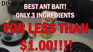 BEST ANT BAIT YOU CAN MAKE FOR LESS THAN 1 DOLLAR! - DIY ANT CONTROL - GREEN ALTERNITIVE