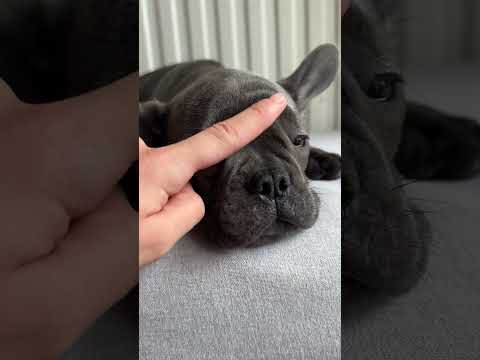 Video 1
