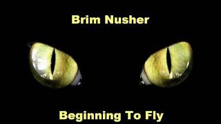Brim Nusher - Beginning To Fly