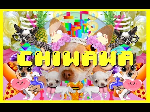 CHIWAWA SONG - JUST DANCE 2016 - OFFICIAL MUSIC VIDEO BY ANNE HOREL