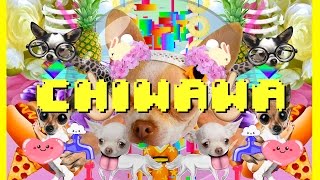 CHIWAWA SONG - JUST DANCE 2016 - OFFICIAL MUSIC VIDEO BY ANNE HOREL