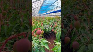 沖縄に住む自由人の1日　【Part18】 #vlog #日常 #asmr #ルーティン #routinevlog #日常vlog #沖縄
