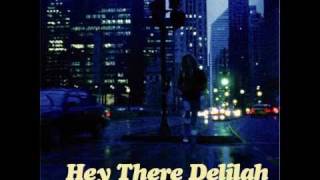 Plain White Ts- Hey There Delilah (perez bootleg remix)