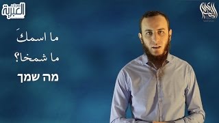 صورة 05 كيف تتعرف على شخص باللغة العبرية؟