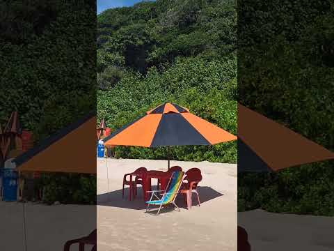 Brésil Nordeste Plage de Tambaba( Conde, Paraiba)