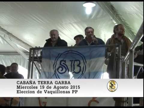19-08-15 Venta de Vaquillonas y Toros P.P. - Cabaña TerraGarba - Castelli.
