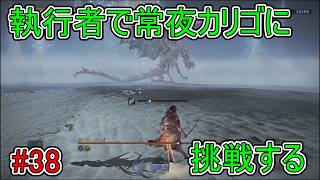 【エルデンリング】執行者で常夜カリゴに挑戦する【ナイトレイン】#38