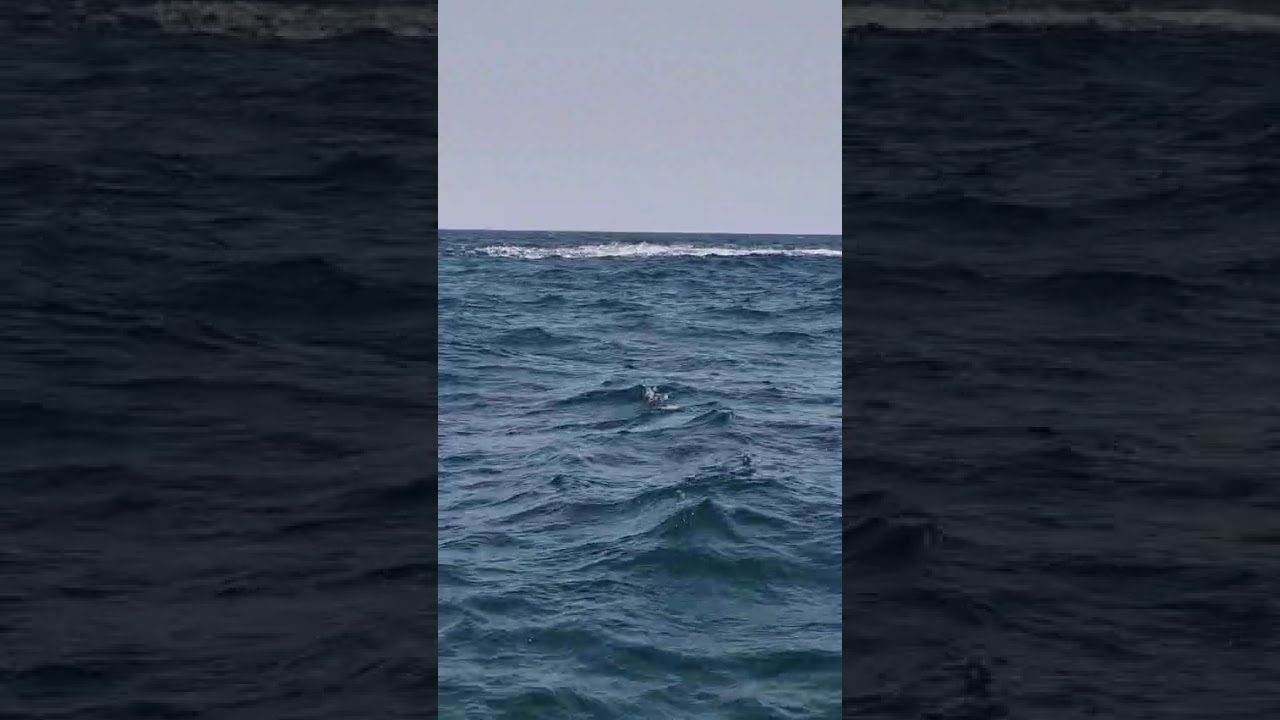 Hôtel Kasa Afrikana