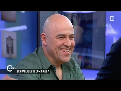 L'interview de Dominique A - C à vous - 20/03/2015