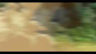 Samurai Champloo- The Empty Heads - Ya Ya