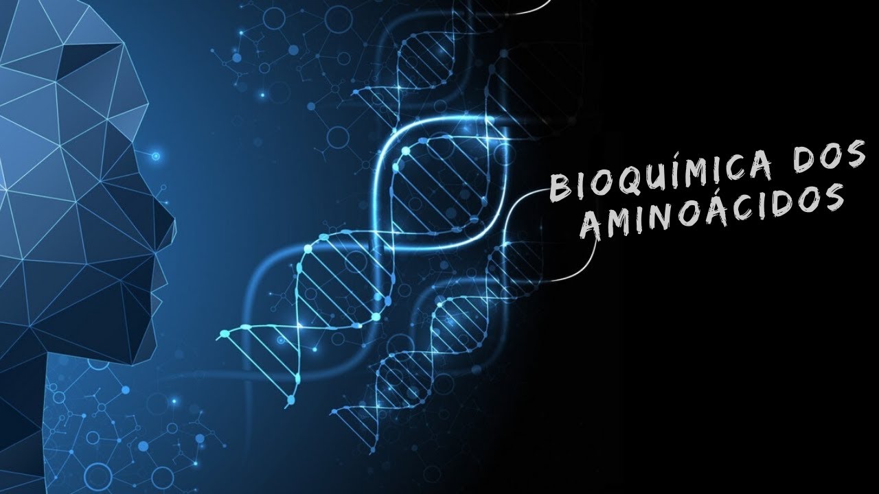 Aminoácidos: estrutura, divisão e função