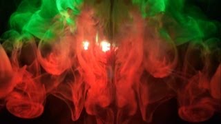 Animal Collective - Daily Routine (UNOFFICIAL MUSIC VIDEO)