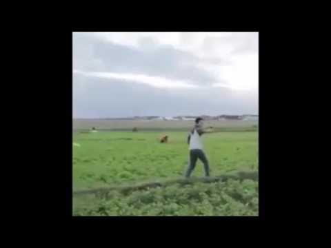 Mudik Gratis Dengan Pesawat Udara