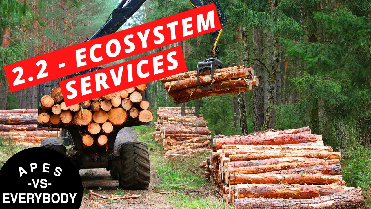 APES Notes 2.2 - Ecosystem Services