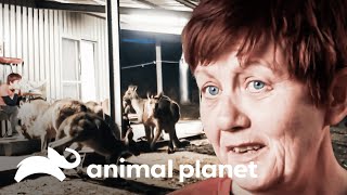 Thumbnail del capítulo