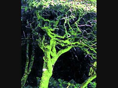 Lothlórien - Ghostwood